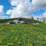 Ahorn-alp