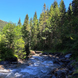 Chalet- Schwarzwaldalp