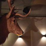 Platzhirsch