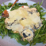 Calabrisella