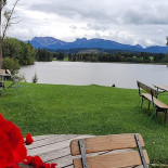 Schwaltenweiher