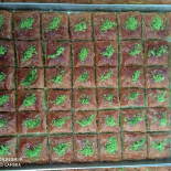Kebab Palast Turan Usta
