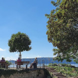 Basilico