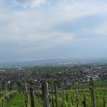 Dreiländerblick