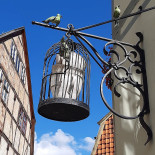 Café Am Finkenherd