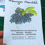 Heuriger Weingut Hamböck