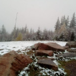 Berggasthaus Hochfirst