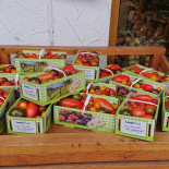 Gartenwirtschaft Gastwirtschaft Johanneshof