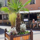 L'entrée Des Artistes