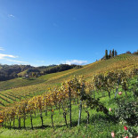 Weinhof Buschenschank Prettner