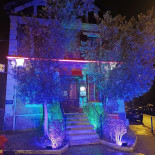 Riad Salam
