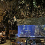 Rainforest Café