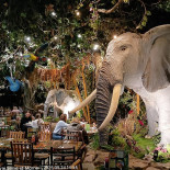 Rainforest Café