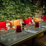 Red D'hippo