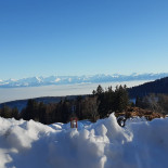 Leubringenberg