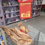 Denner Partner