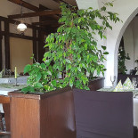 Pfannenhaus