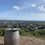 Hochkräutl