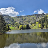 Ferme Auberge Du Lac De Forlet
