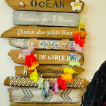 L'ile Aux Cocos