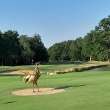 Golf De La Bresse
