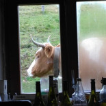 Ferme-auberge Du Belacker