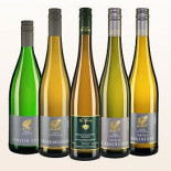 Forster Winzerverein Eg