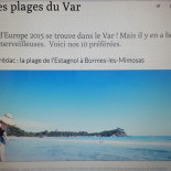 Les Pins Parasols