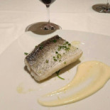 Apicius