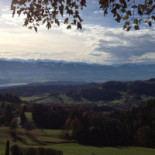 Bannholz