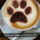 Paws For Coffee