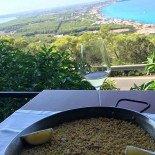 El Mirador