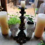 Le Jardin D'asie