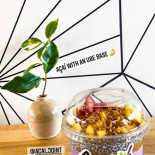 Acai Joint
