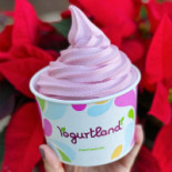 Yogurtland