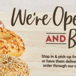 Bruegger's Bagels