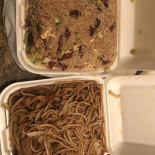 Lucky Bamboo Kitchen
