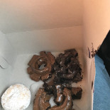 Foster's Donuts