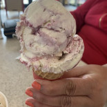 Oberweis Dairy