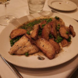 Cafe Lucci
