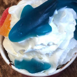 Lickety Splits Ice Cream Shop Ri