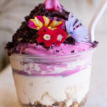 Sweet Journey Soft Serve