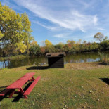 Cabin 61
