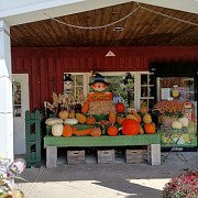 Demarest Farms